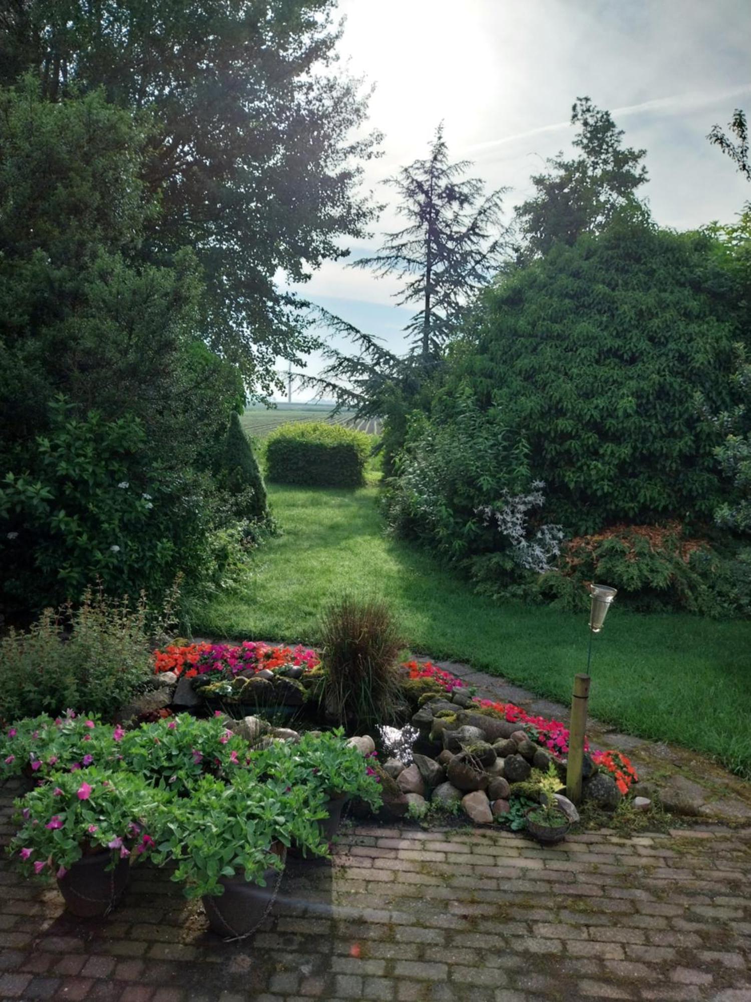 Wad Fijn Villa Sexbierum Luaran gambar