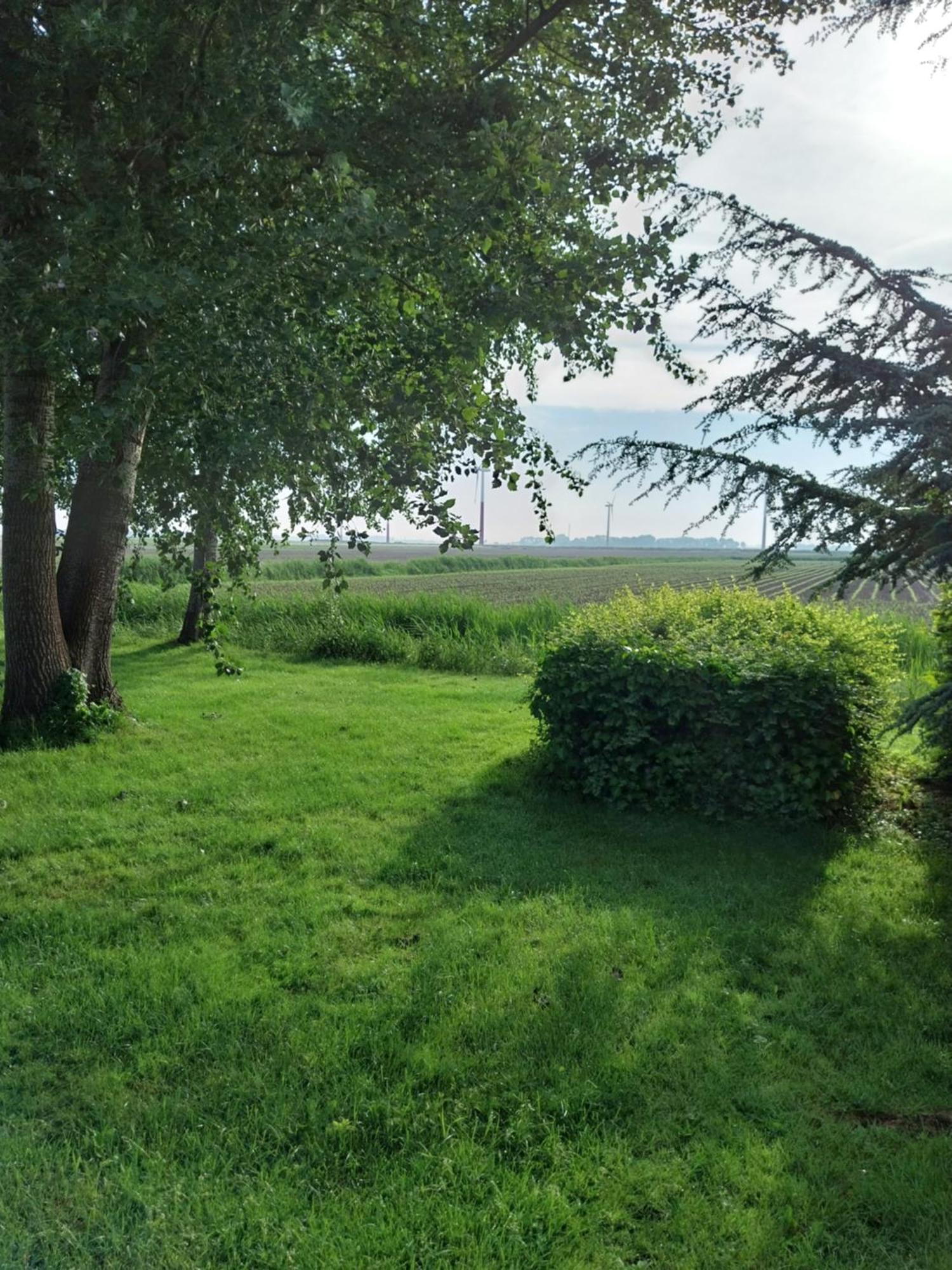 Wad Fijn Villa Sexbierum Luaran gambar
