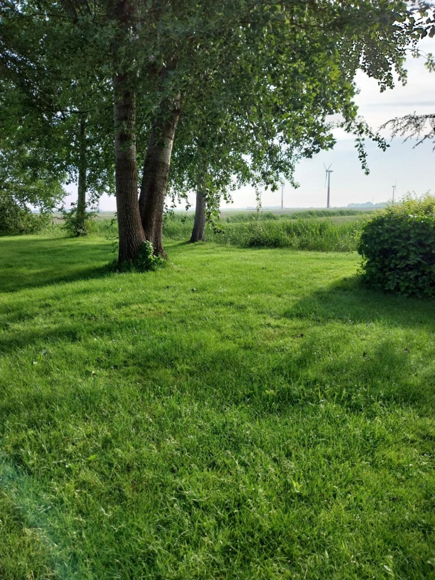 Wad Fijn Villa Sexbierum Luaran gambar